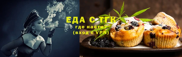 Альфа ПВП Горняк